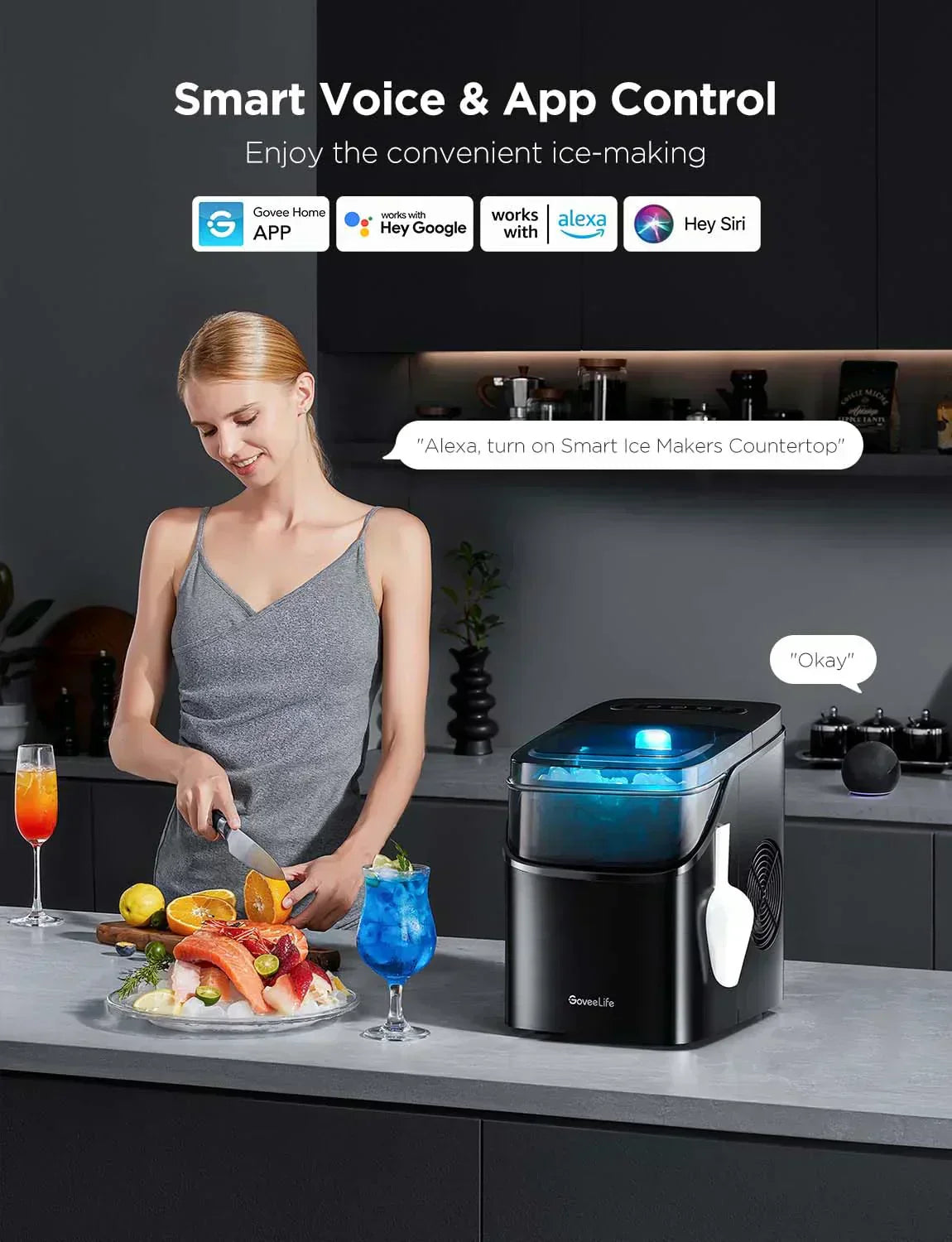 GoveeLife Smart Ice Maker Countertop Portable Ice Machine with Voice Control 9 Ice Cubes